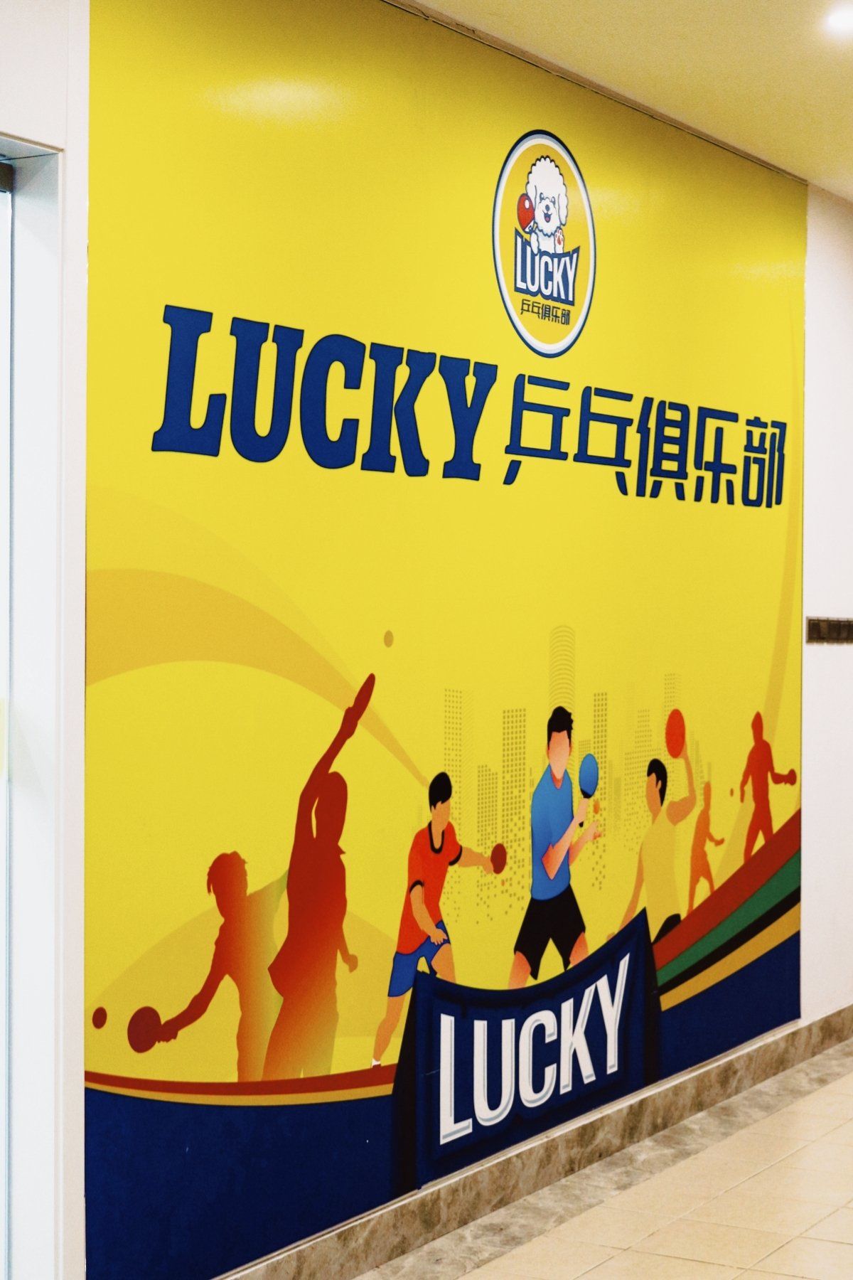 解读2024巴黎奥运乒乓球：图标设计与规则全解析备战决赛精彩瞬间